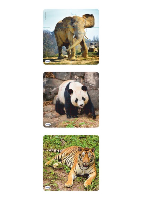 Set 3 Puzzle Progressivi Animali