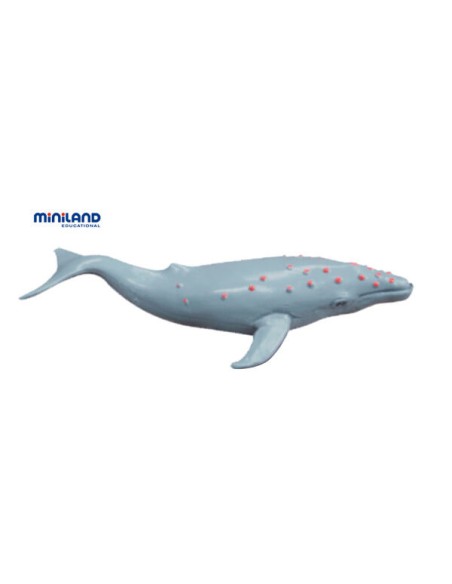 Animales Marinos - 8 Figuras en Bote con Asa