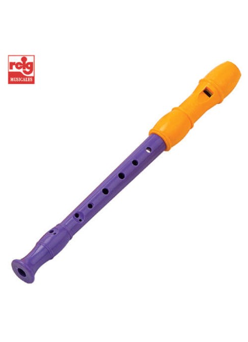 Recorder with Method and Cleaner in Bag
